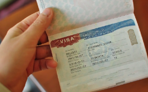 Visa Application Instructions